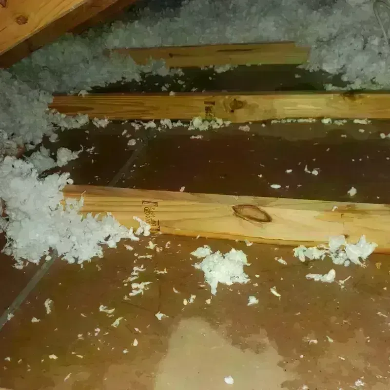 Attic Water Damage in Pelahatchie, MS