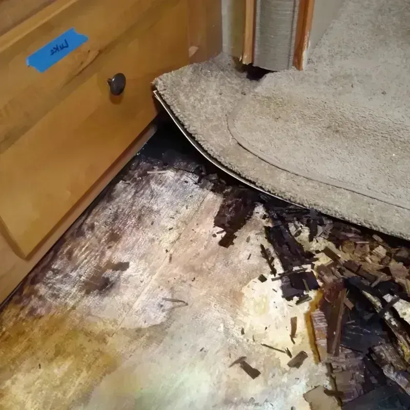 Best Wood Floor Water Damage Service in Pelahatchie, MS